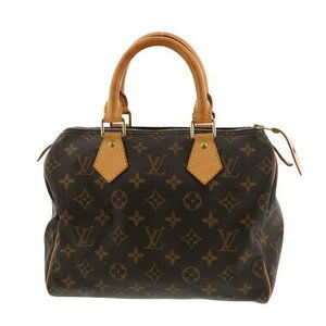 Louis Vuitton Speedy Monogram Handbag